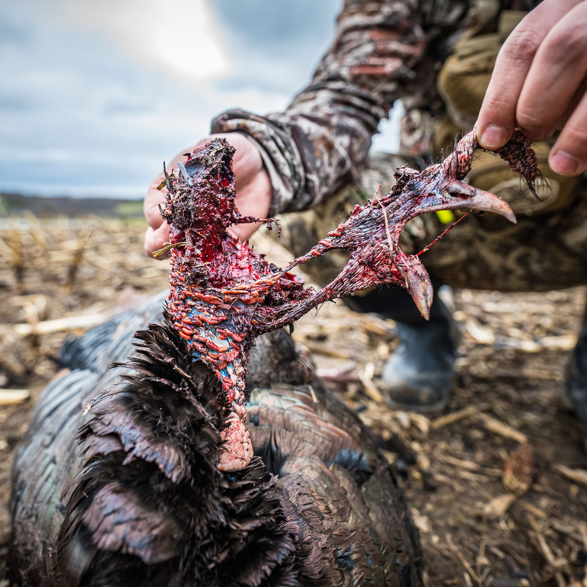 Turkey Decapper System